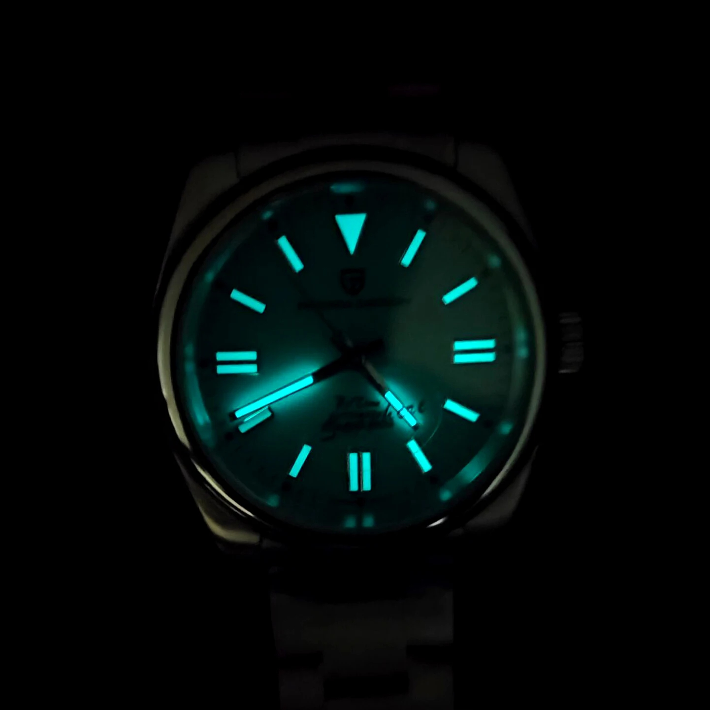 PAGANI DESIGN Relógios mecânic - Seiko Watch Prospex avaliação e preço