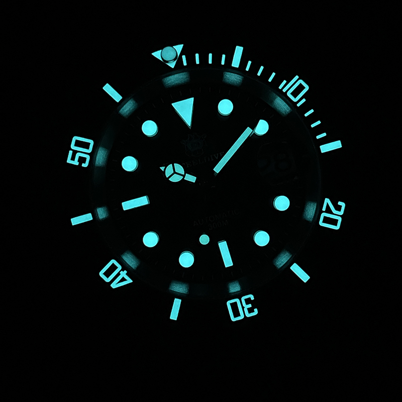 Steeldive masculino mergulhado - Seiko Watch Prospex avaliação e preço