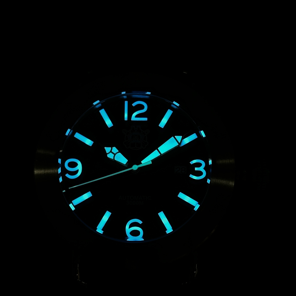 Steeldive 2025 relógio sd1912  - Seiko Watch Prospex avaliação e preço