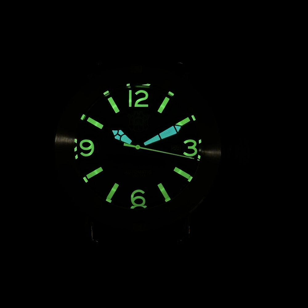 Steeldive 2025 relógio sd1912  - Seiko Watch Prospex avaliação e preço
