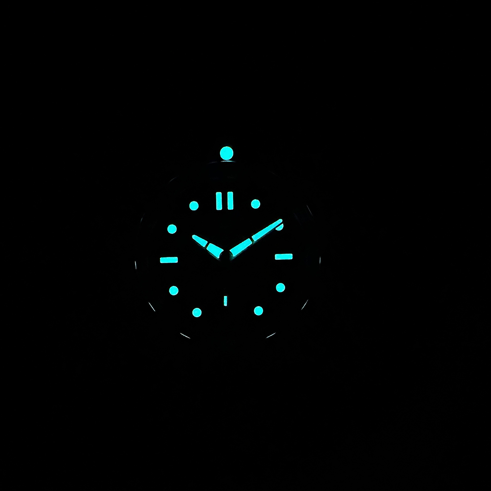 STEELDIVE Oficial Novo SD1960  - Seiko Watch Prospex avaliação e preço